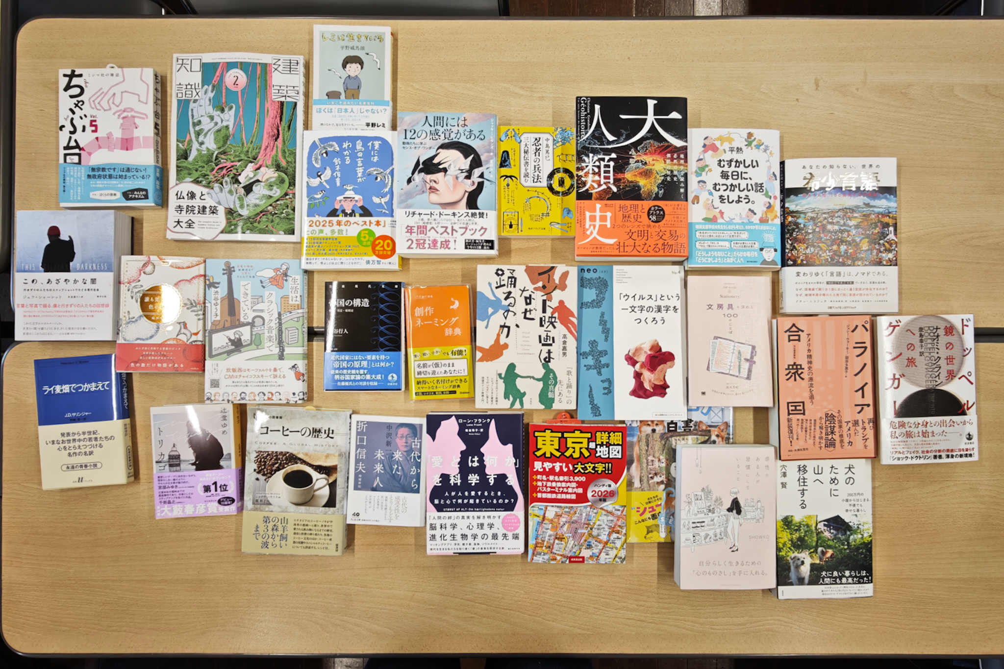 「読書しない読書会」レポート 第91回