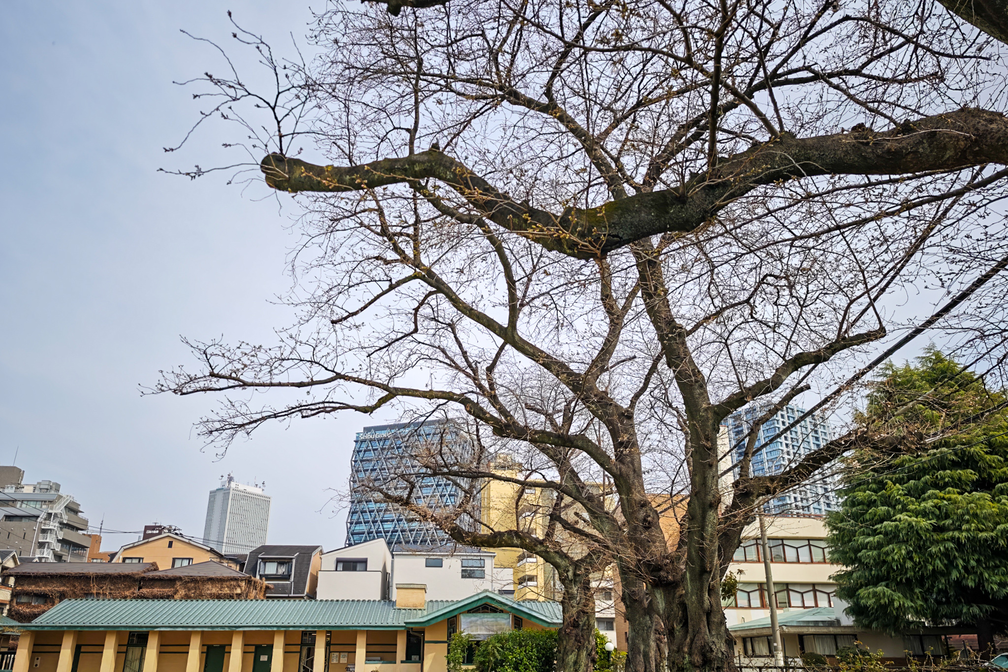 自由学園明日館